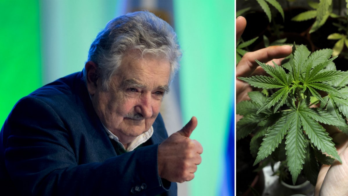 José Mujica vill ha hjälp.